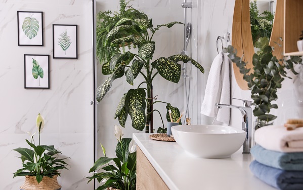 Bathroom with houseplants