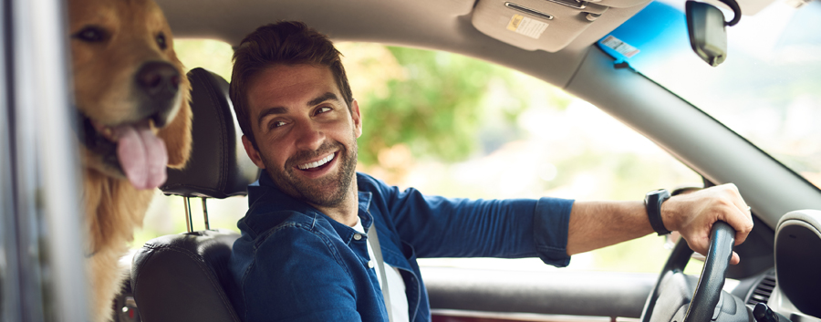 Man and dog in a car