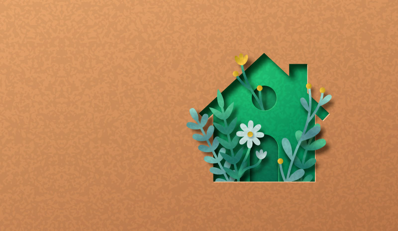 Eco Friendly House Removals