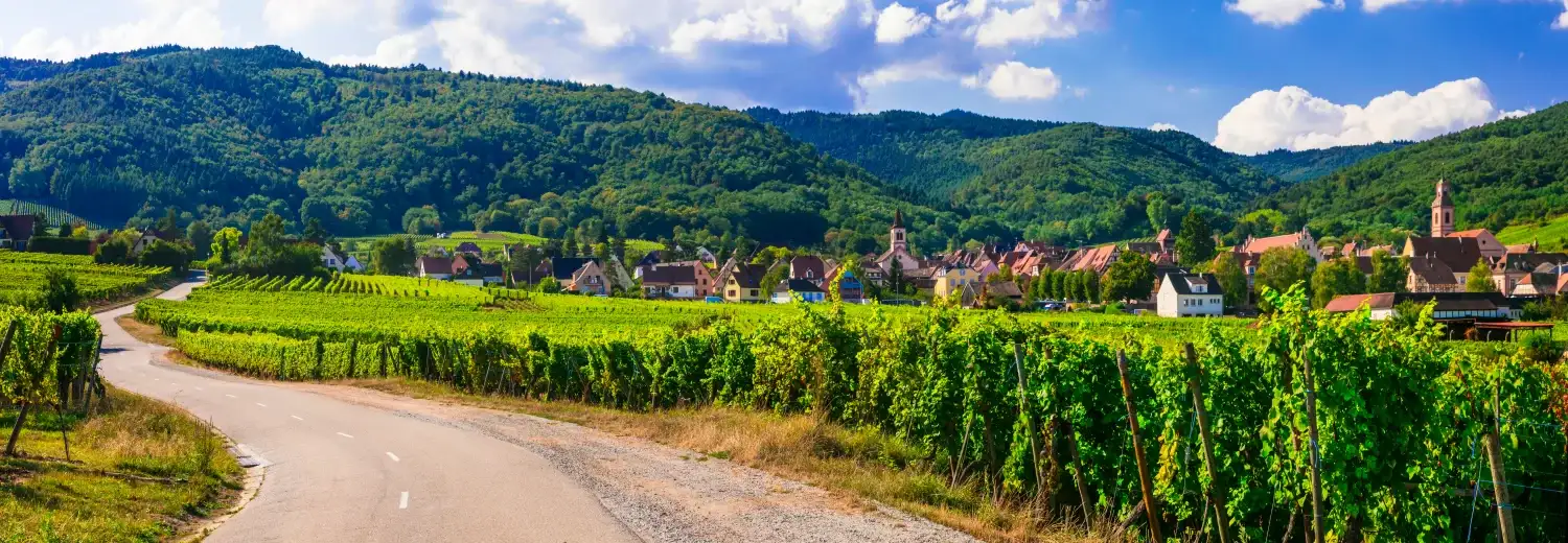 Applying For French Citizenship