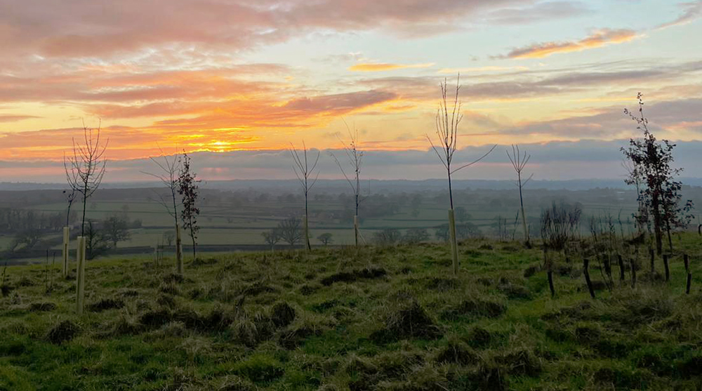 Armishaws Group, Eco Tree Planting, January 2022