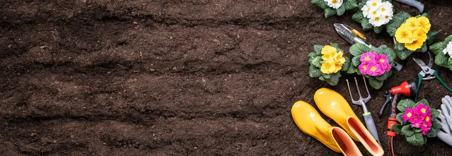 11 Weird Garden Facts