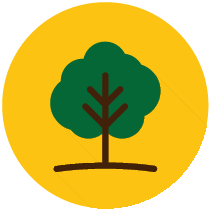 armishaws-feb2022-icon-services-tree